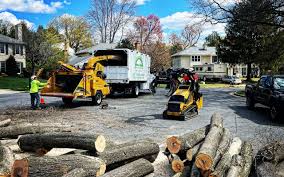 Best Commercial Tree Services  in Nicoma Park, OK